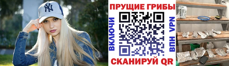 Галлюциногенные грибы мухоморы Воскресенск