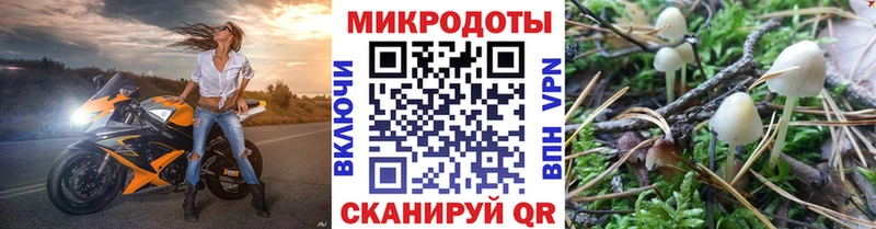 Псилоцибиновые грибы Cubensis  Воскресенск 